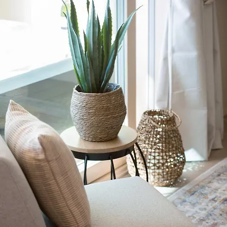 Mainingin Loiste C2 - Luxury